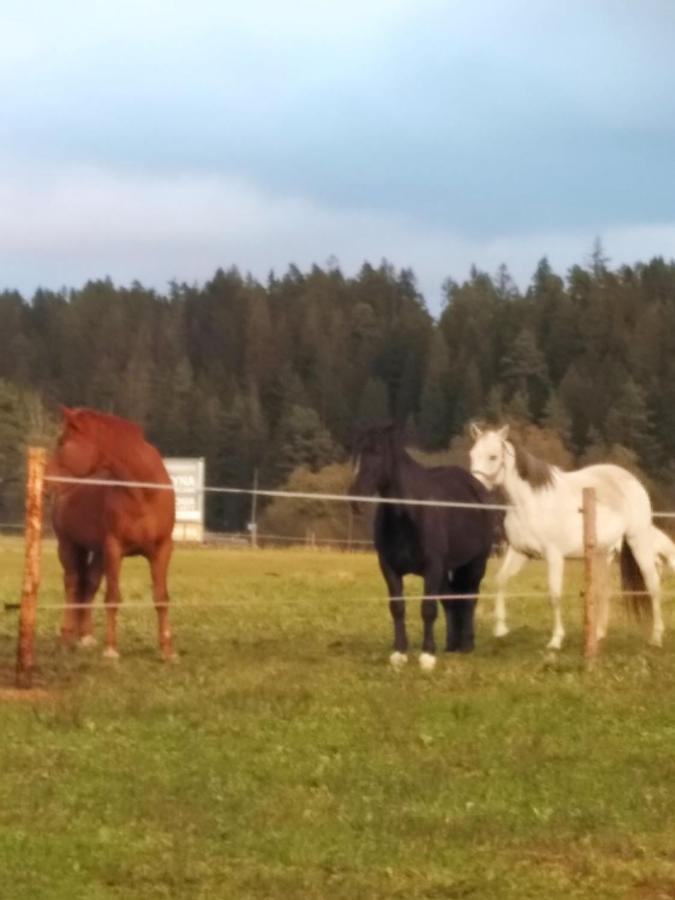 Na Dziole Villa Lipnica Wielka Exteriör bild