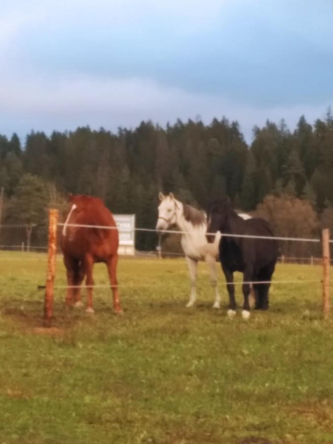 Na Dziole Villa Lipnica Wielka Exteriör bild